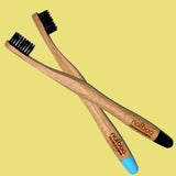 2 Natboo Toothbrushes. Black + (another color)